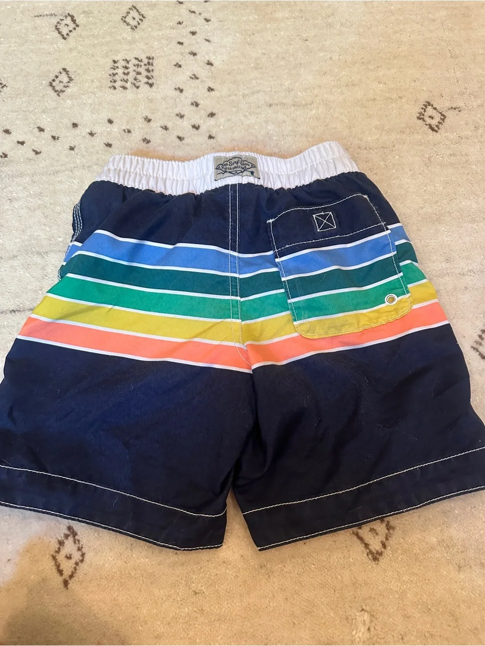 GAP Boys Navy Swim Trunks with Rainbow Stripes